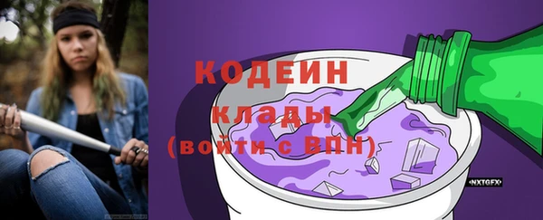 гашик Пересвет